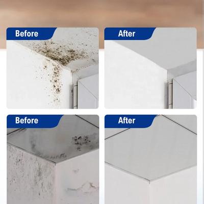 60ml Mould Cleaning Spray Wall Mold Remover Mold Cleaning Spray Bathroom Kitchen Cleaning Effective Mildew Removal Spray Cleaner