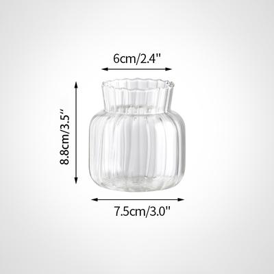 1PC Kreative Hydrokultur Terrarium Flasche Vase Blumentopf Transparent Glas Nordic