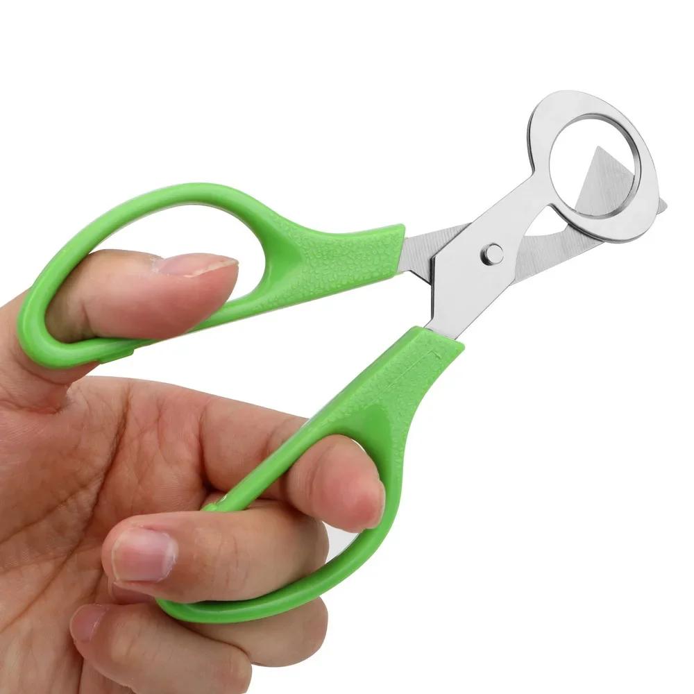 Stainless Steel Quail Egg Cutter Egg Shell Scissors Rust Resistant Kitchen Gadget for Opening Quail Eggs