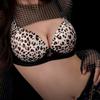 Sexy Leopard Print Front-button Bra for Small Breasts Push-up Bra for Side Breasts and Anti-sagging No Steel Ring Seamless Back Bra