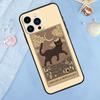 The Empress Tarot Cat Art Print Phone Case For iPhone 15 16 Pro Max 13 11 12 14 Pro Max XR XS X 7 8 Plus 12 13 Mini Cover
