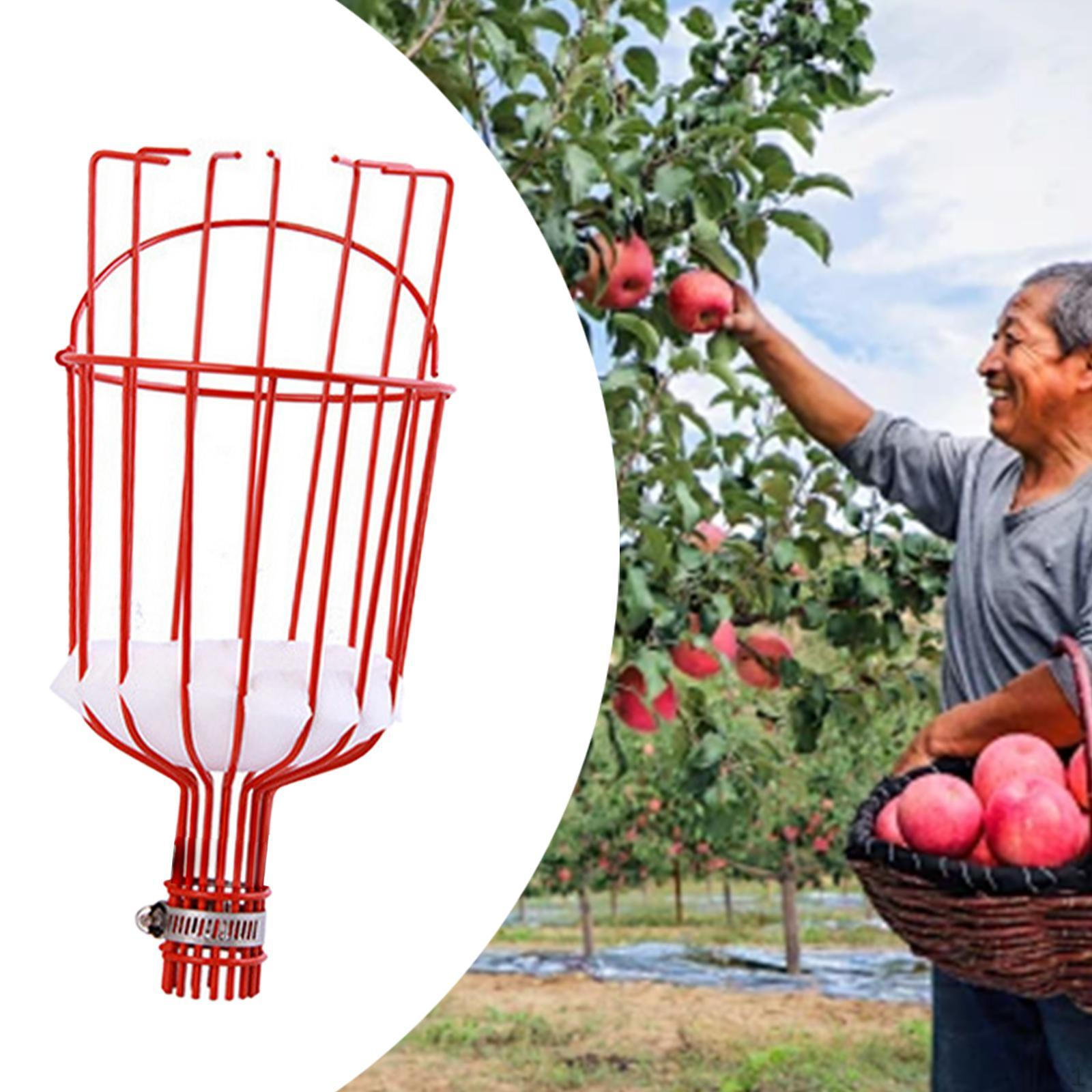 Инструмент для сбора фруктов в корзине для использования в саду красный