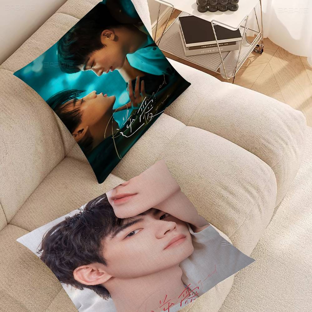 R-Revenged Love Movie Pillow Covers Cartoon Sofa Decorative Home Double-Sided Printing Short Plush Cute Cushion Cover