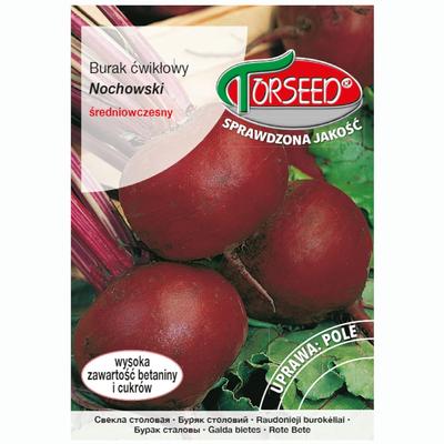 Řepa červená Nochowski semena zeleniny čerstvá PREMIUM 10g