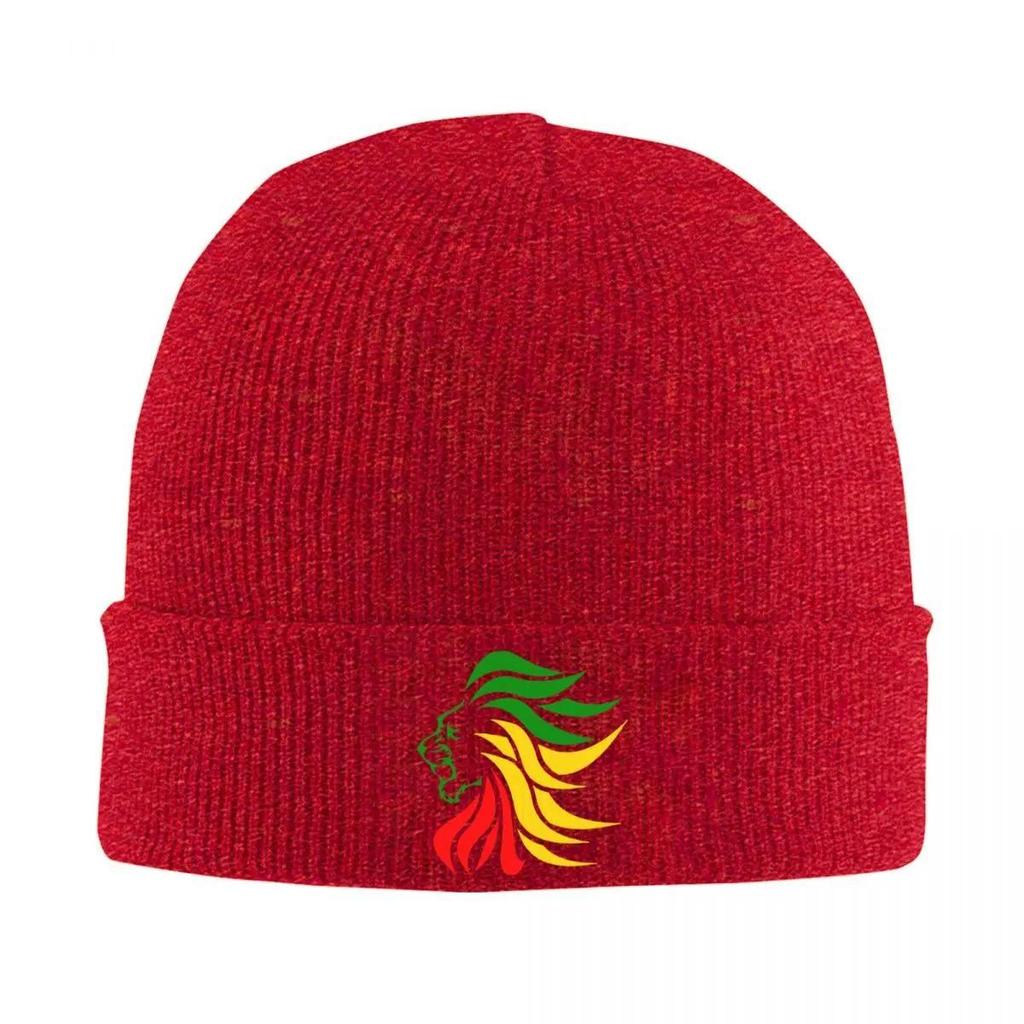 Rasta Lion Rastafari Jamaica Judah Knitted Caps Women's Men's Skullies Beanies Winter Hats Acrylic Hip Hop Cap