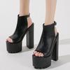 Fashion 14 Cm Super High Heel Platform Sandals Women Sexy Open Toe Ankle Strap Buckle Slide Sandals 43 Large Size Party Stripper Shoes