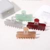2025 High-End Women's Acetate Shark Hair Claw Clip Hairpin Accessory