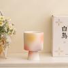 High value ins ceramic cup fun DIY dessert cup creative milkshake cup juice coffee cup household tall water cup