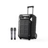 SANSUI D12 12-inch Outdoor Karaoke Trolley Speaker CN Plug (adapter Included)