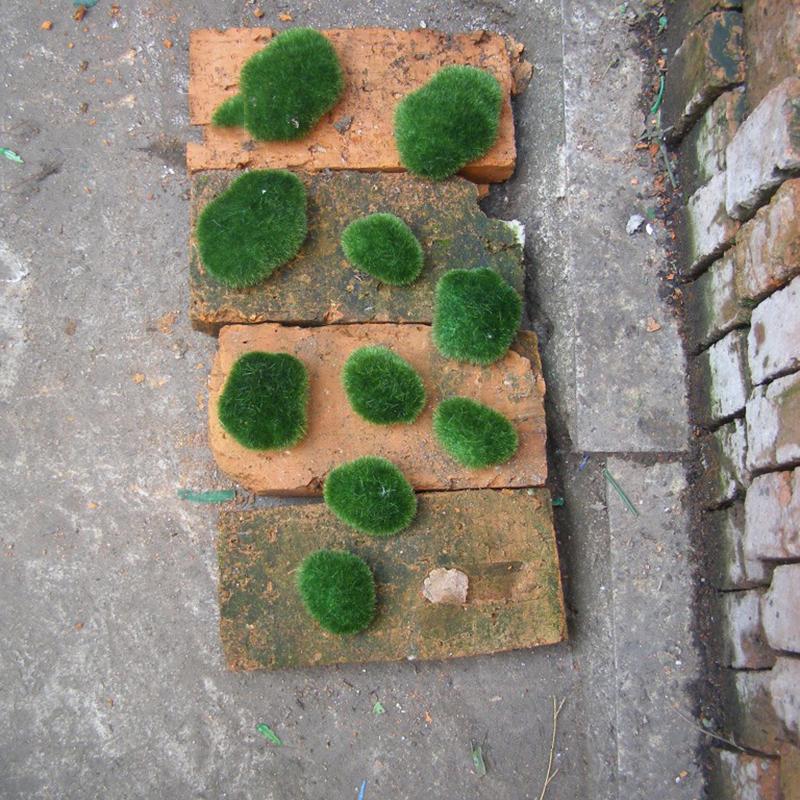 Green Moss Stones for Sustainable Home Garden Decor 8pcs/10pcs Set