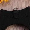 Halloween Pet Clothes Black Bat Wings Costume for Dogs 3Pcs Set