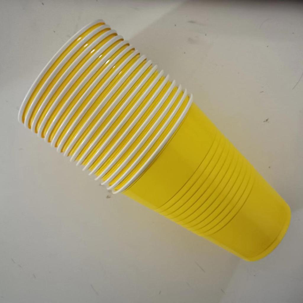 10PCS 16 OZ Party Cups for Home Party Birthday Wedding