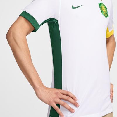 Maillot de football Nike Dri-Fit pour homme Homme