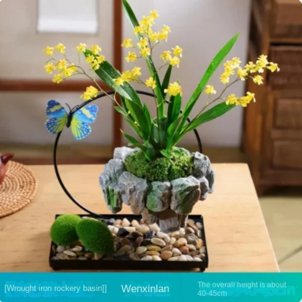 Facai Tree Nantianzhu Mizhu Bryophyte Green Plants Potted In the Living Room Office Small Leaf Rosewood Potted Landscape