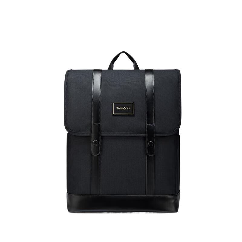 Samsonite Business Laptop Backpack