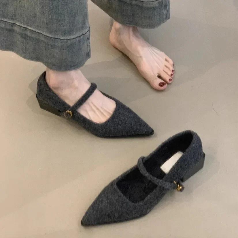 Fashion Pointed Single Shoe Women's Spring New Style French Thick Heel Shallow Mouth Shoes Elegant Low Heel Women's Shoes