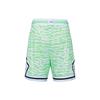 Jordan Casual Shorts Men's Mint Green DM2819-379