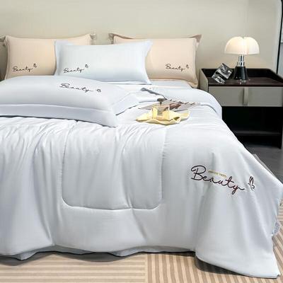 LISM Washable Summer Cooling Quilt