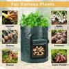 Potato Grow Bags Durable Thickened with Flap Handles Green 5/7/10 Gallon Garden Vegetable Grow Bags