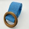 Retro PP Grass Woven Women's Waistband with Elastic and Elastic Waistband, Fashionable and Minimalist Hundred Matching Dresses