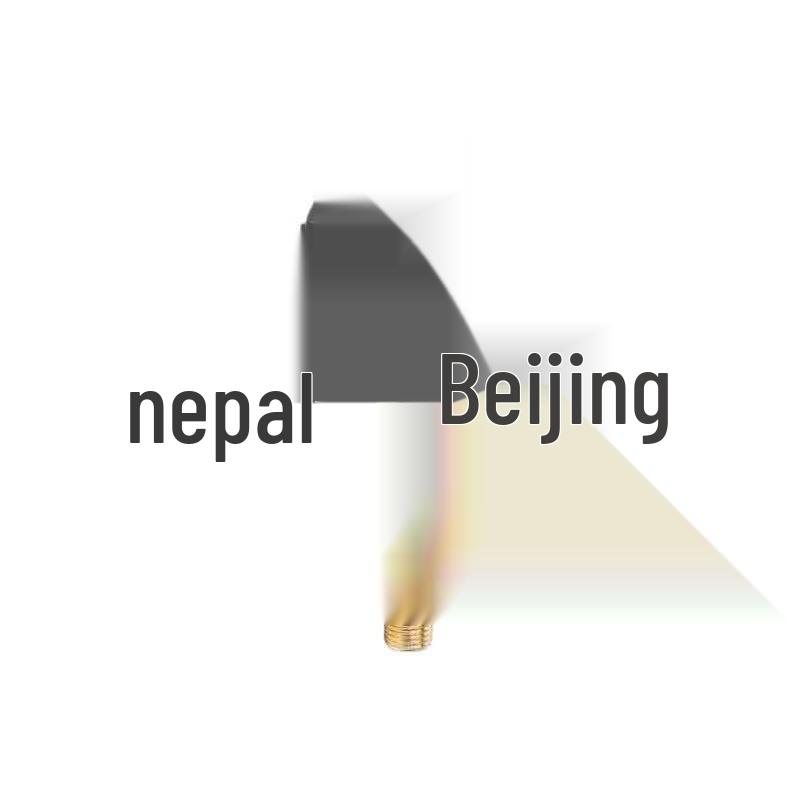 Nijing Tire Valve with Pressure Sensor