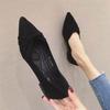 Black Flat Pointed Toe Women's Shoes - Versatile, Gentle Style for Spring/Autumn with Soft Sole