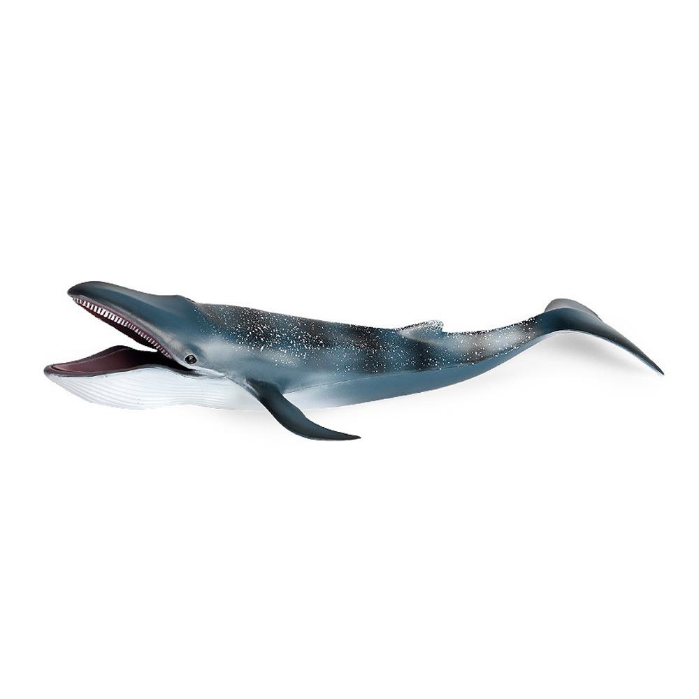 Wild Big Shark Fish Model Large Whale Desktop Ornament Ocean Animal Statue  Educational Kids Toy