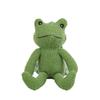 Cartoon Frog Creative Backpack Cute Animal Plush Backpack Soft Cute Doll Cute Pendant Children'S Room Decoration