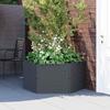 Planter PP