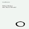 What Makes the Wave Break by Allan Graham Paperback Book 9781645250203