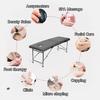 Height Adjustable Spa Bed Professional Beauty Salon Foldable Multi Functional Physiotherapy Bed Portable Massage Bed