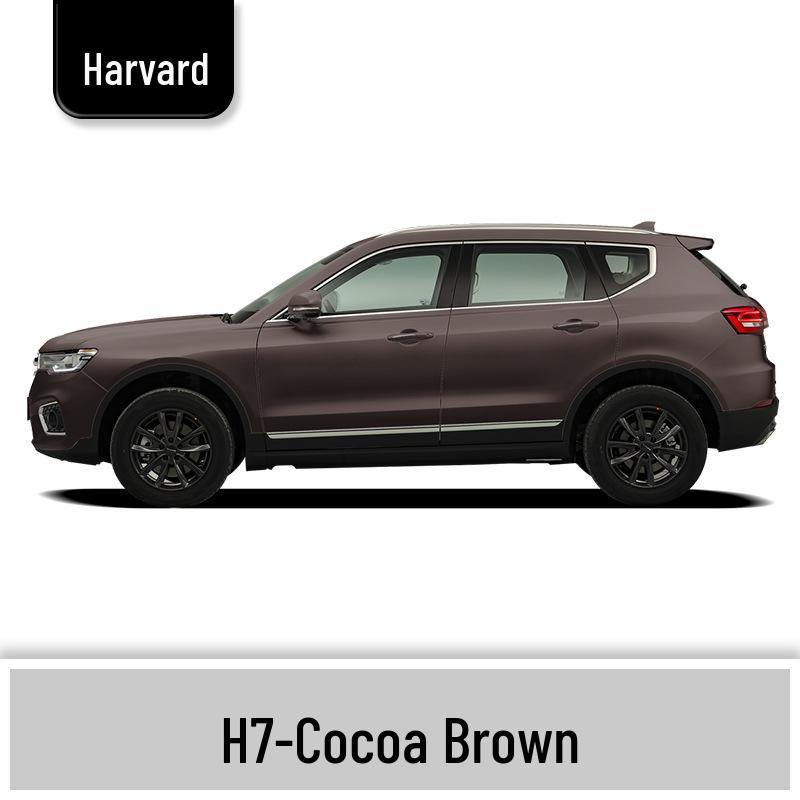 Haval H6 Cool Dog Touch-Up Pen, Black Spot & Ruixue White Scratch Repair Paint