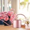 Stainless Steel Long Mouth Water Can Metal Watering Organizer Supplies for Gardening Lover Watering Present Supplies