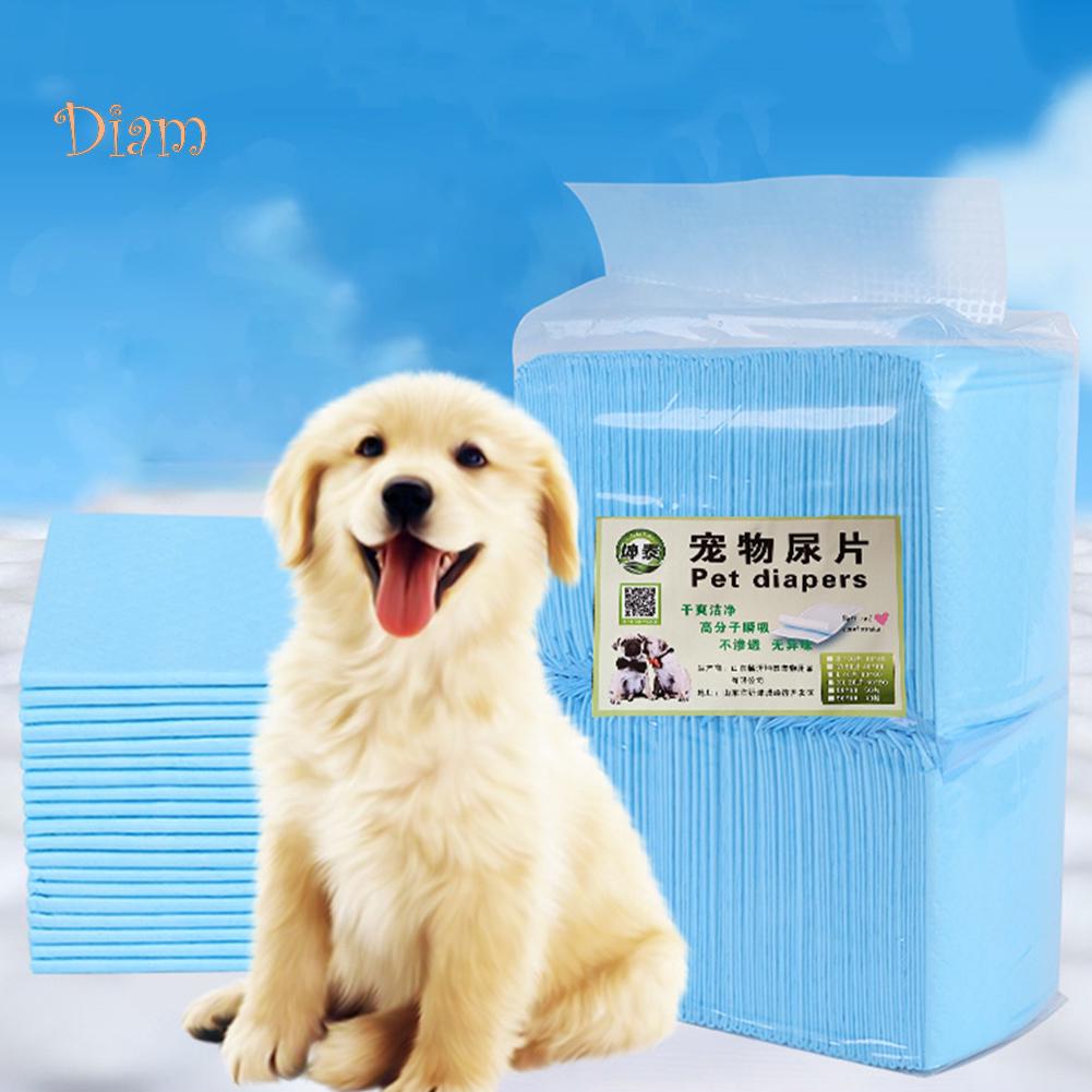 dog pee diapers