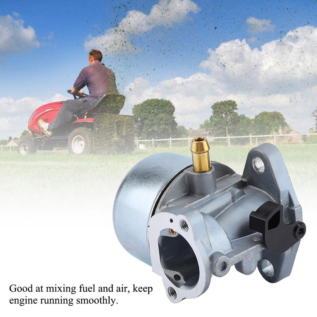 Carburetor For 497586 498170 799868 498254 497314