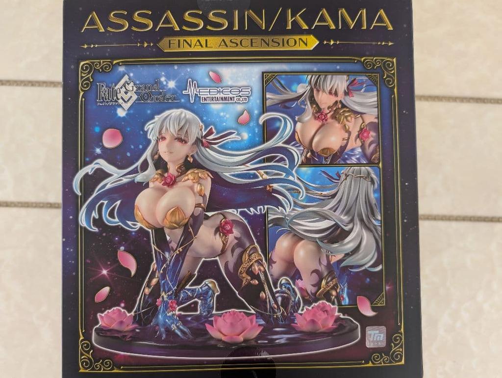 [USED] Fate Assassin/Karma (Final Ascension) 1/7 Scale