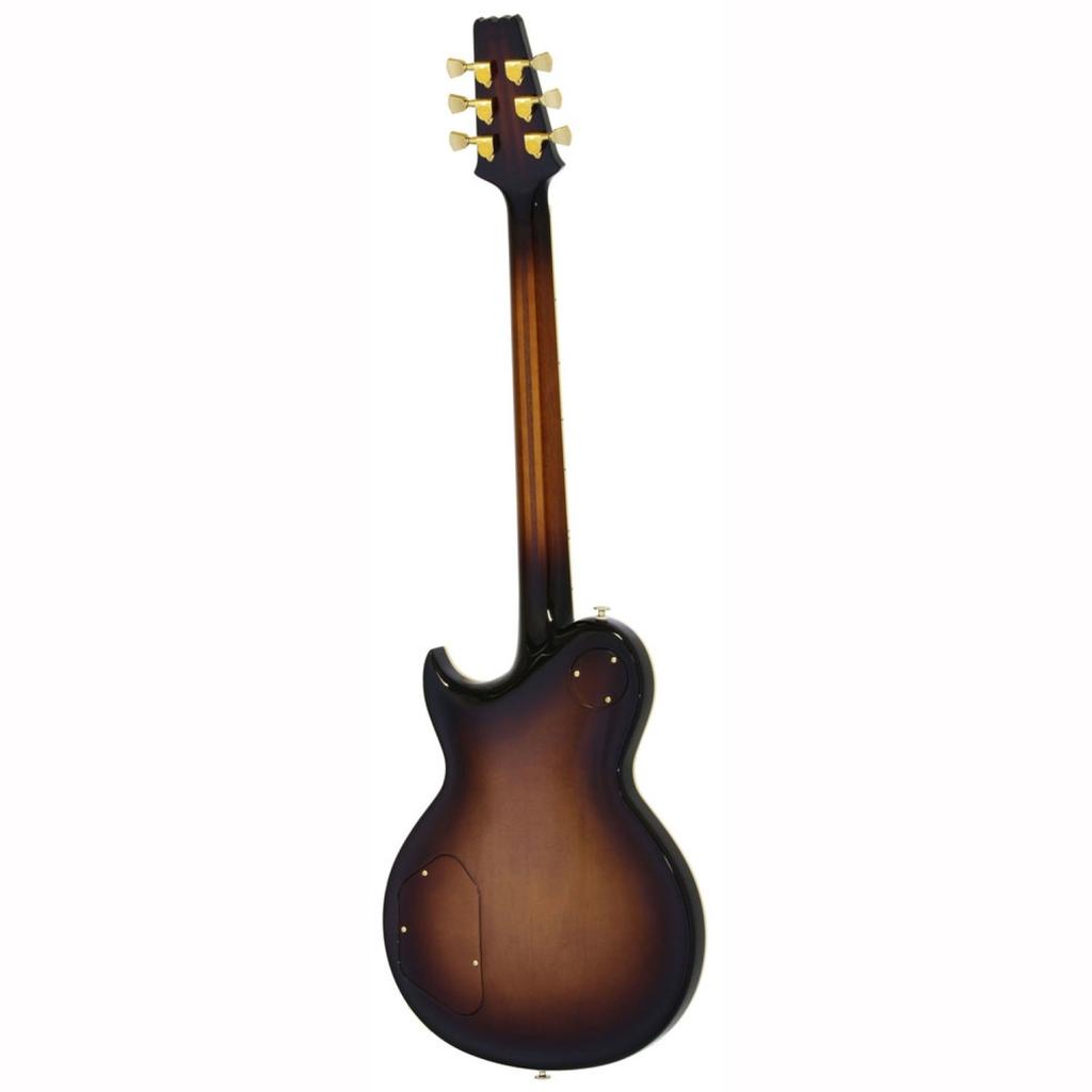 ARIA ProII SA Electric Guitar PE-R100