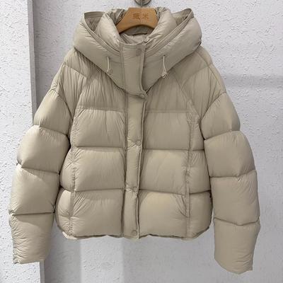 Dames Hooded Down Katoenen Jas Winter Nieuwe Mode Grijs Brood Jas Casual Korte Katoenen Jas