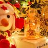 1/5/20M USB LED String Lights Copper Silver Wire Garland Light Waterproof Fairy Lights For Christmas Wedding Party Decoration