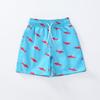 Boys' Swim Trunks - Mesh Lined Drawstring Beach Shorts