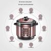 Midea 6L Smart Electric Pressure Cooker & Rice Cooker CN plug (adapter included)