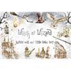 Witch or Wizard Gender Reveal Backdrop He or She Boy or Girl Pregnancy Photography Background Magic Castle Party Decor Banner