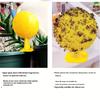 Indoor Flying Insect Catcher,Sticky Trap Balls for Fruit Flies,Gnats,Mosquitoes,Safe Non-Toxic,Place Near Plants,Trash Can,Window,Home,Office Use