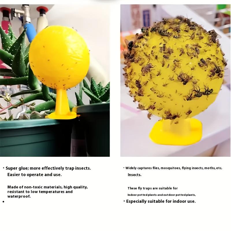 Indoor Flying Insect Catcher,Sticky Trap Balls for Fruit Flies,Gnats,Mosquitoes,Safe Non-Toxic,Place Near Plants,Trash Can,Window,Home,Office Use