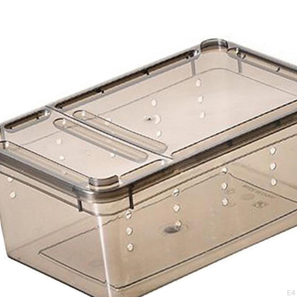 Clear Reptile Habitat Box for Hedgehogs and Silkworms