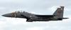 Hasegawa 1/72 Airplane Series F-15E Strike Eagle "Tiger Meet 2005