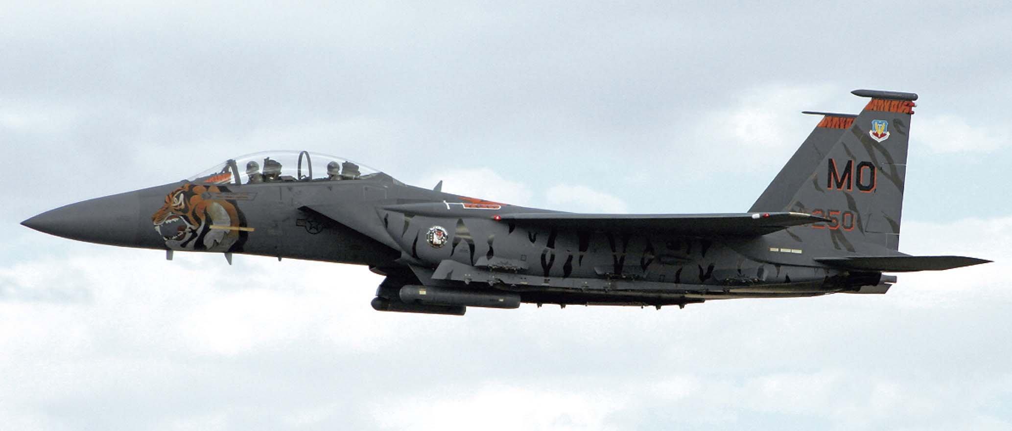 

Hasegawa 1/72 Airplane Series F-15E Strike Eagle Tiger Meet 2005