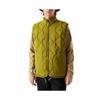 The North Face Vest Men's Light Green NF0A83SD-I0N