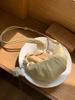 2025 yellow horn bag women's new light luxury niche high-end single shoulder crossbody dumpling bag