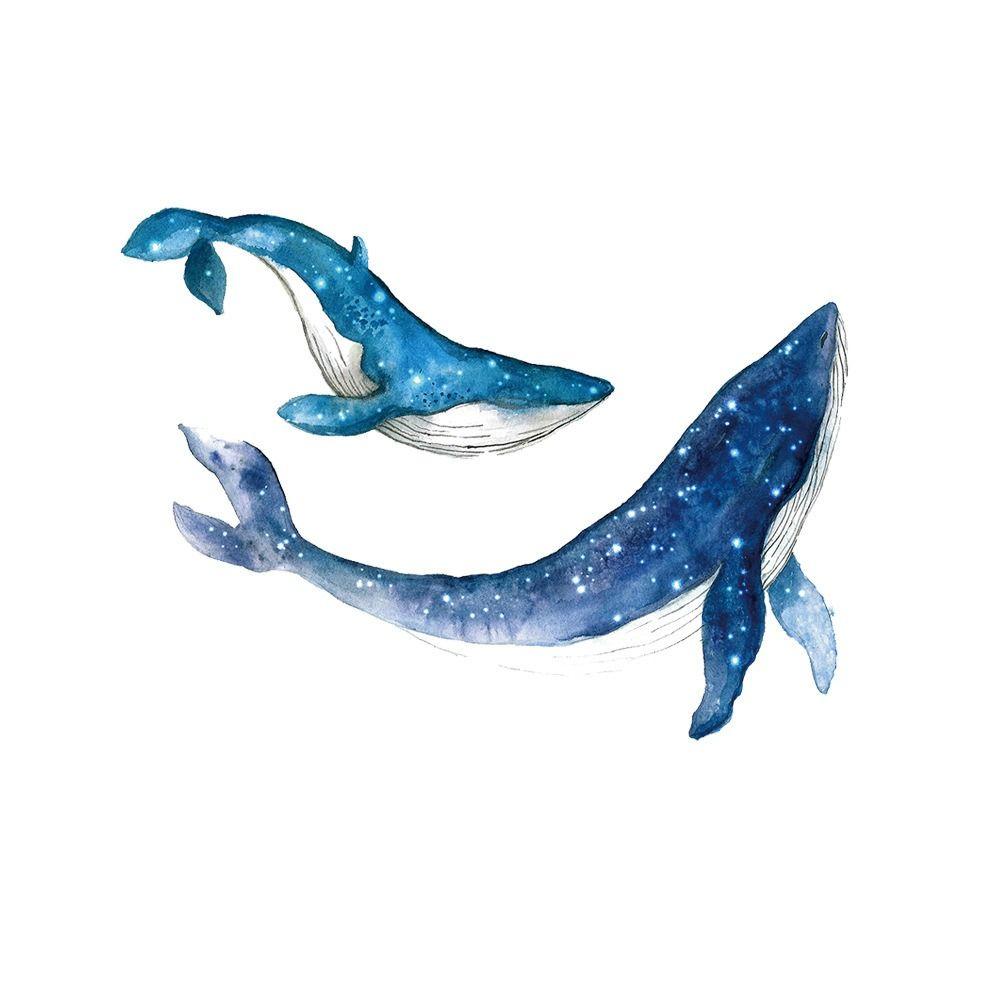

PVC Starry Sky Whale Sticker Marine Animals Marine Animals Decal Whale Wall Stickers Baby Room Whale